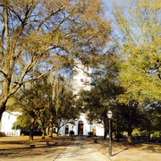 2nd Apr 2014 - Wraggborough Square, Charleston, SC