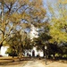 Wraggborough Square, Charleston, SC by congaree
