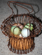 1st Apr 2014 - Eggs in One Basket