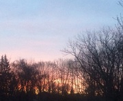 24th Mar 2014 - Sayville sunrise