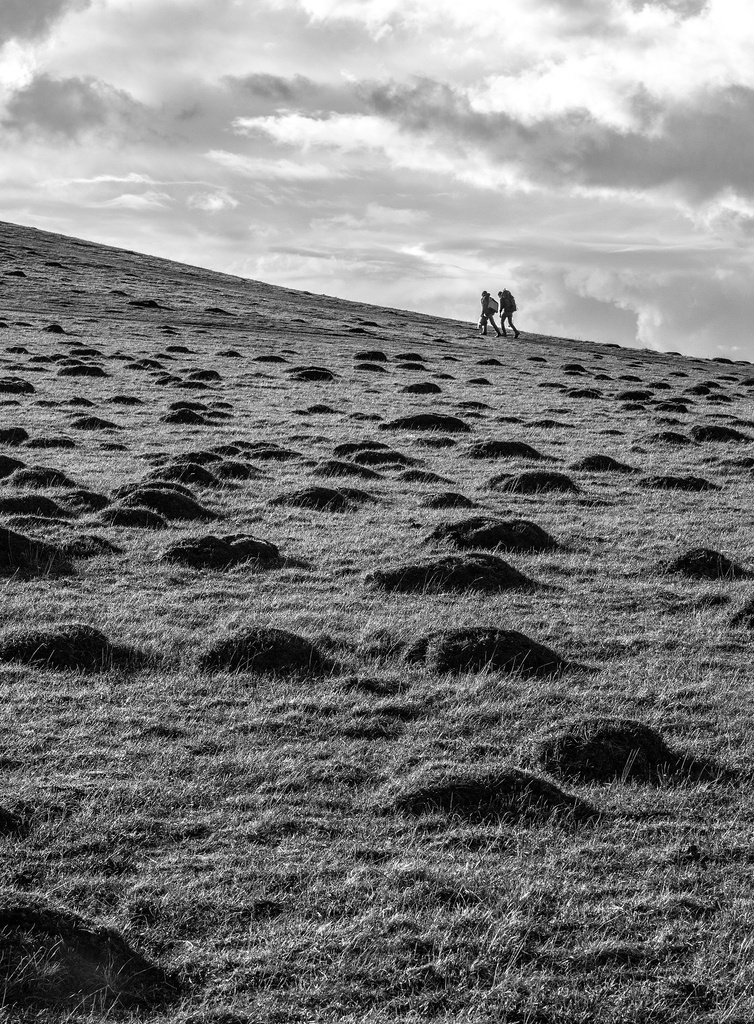 Walkers in a hummocky landscape by dulciknit