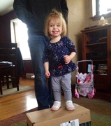 1st Apr 2014 - She thinks I buy things so she has boxes to stand on
