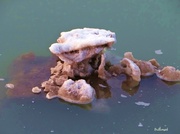 2nd Apr 2014 - Saturated Mini Iceberg