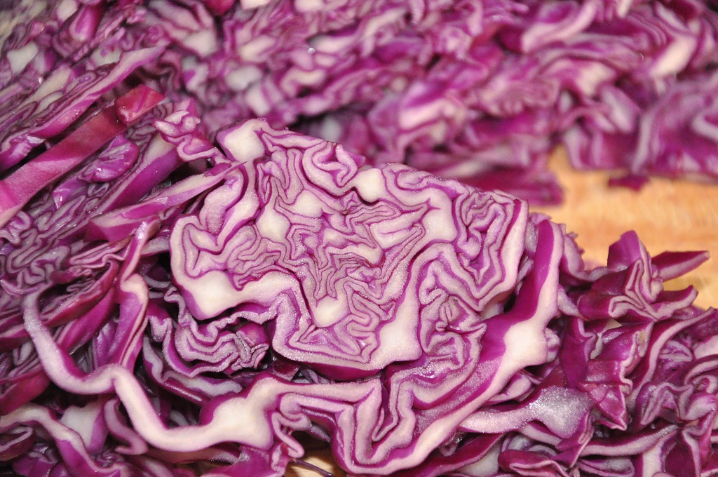 Red Cabbage by overalvandaan