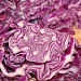 Red Cabbage by overalvandaan