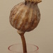 poppy in a vase by mariadarby