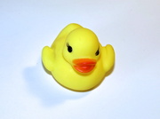 4th Apr 2014 - D is for Ducky