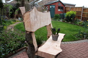 4th Apr 2014 - A rustic bench in the making