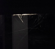 29th Sep 2010 - Spiderweb