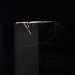 Spiderweb by berend