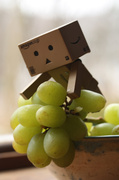 4th Apr 2014 - Danbo Picks A Grape