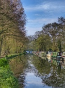 5th Apr 2014 - A morning walk along the canal