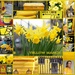 Yellow March by boxplayer