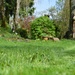 1st mowing of the year by parisouailleurs
