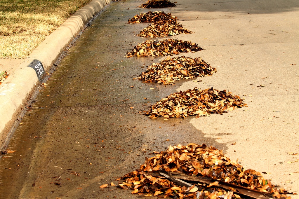 Piles of Leaves in the Street by judyc57