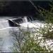 Duck River Dam by linnypinny