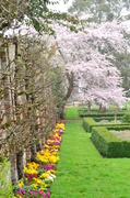 4th Apr 2014 - Walled gardens Littlecote