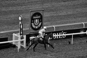 5th Apr 2014 - Grand National Day 2014 ~ 1