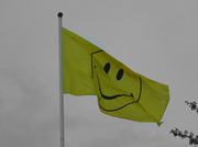 6th Apr 2014 - Welcome to Smileyland