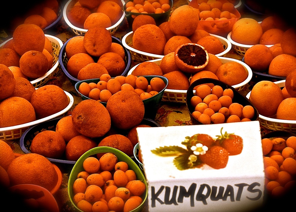 You're…standing…in…my…KUMQUATS! by redy4et