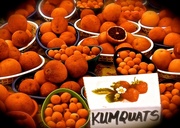 6th Apr 2014 - You're…standing…in…my…KUMQUATS!