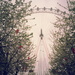 Easter at the Eye by sarahabrahamse