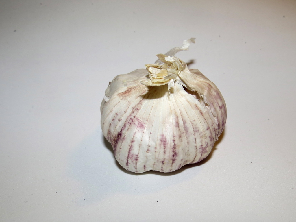 G is for garlic by alia_801