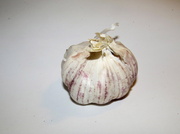 7th Apr 2014 - G is for garlic