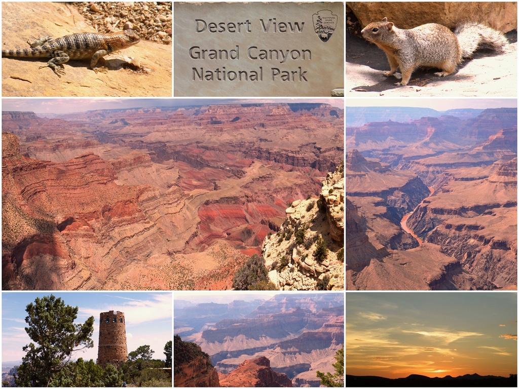 Grand Canyon Summer 2013 by gladogfrisk