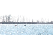 6th Apr 2014 - a lovely day for kayaking - 2000th post!!