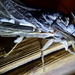 Rain Moth 2 by dianeburns