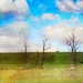 Pasture On Canvas by digitalrn