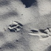footprints by randystreat