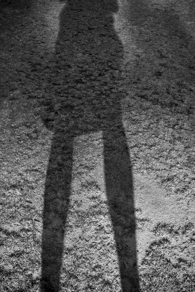 Shadow by jeneurell