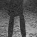 Shadow by jeneurell