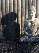 10th Apr 2014 - In the shadow of the Buddah
