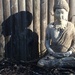 In the shadow of the Buddah by pfaith7