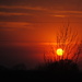 Peekaboo Sunset by genealogygenie
