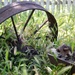 Wagon Wheel by mariaostrowski