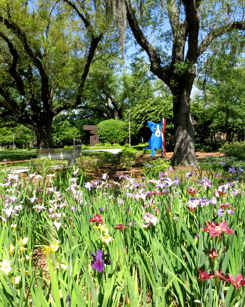 Blue Dog in the iris garden by eudora