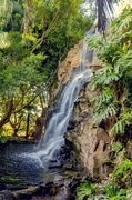 9th Apr 2014 - Waterfall at Picnic Point