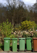 11th Apr 2014 - The green bins
