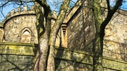 11th Apr 2014 - Trees breaking out over the castle wall.