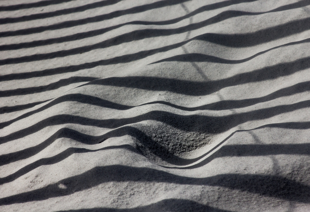 Sand Shadows by darylo