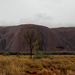 Uluru in the rain by flyrobin