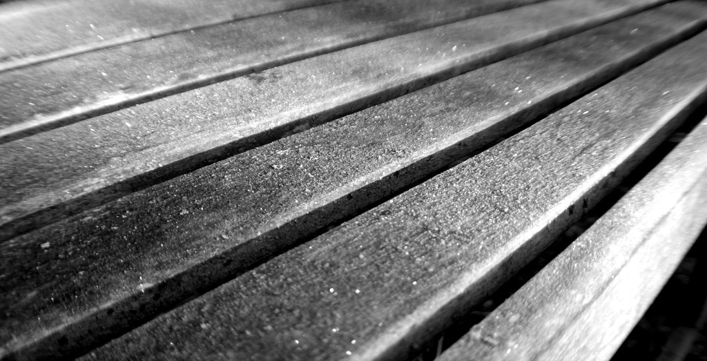 frosty bench  25.3.14 by filsie65