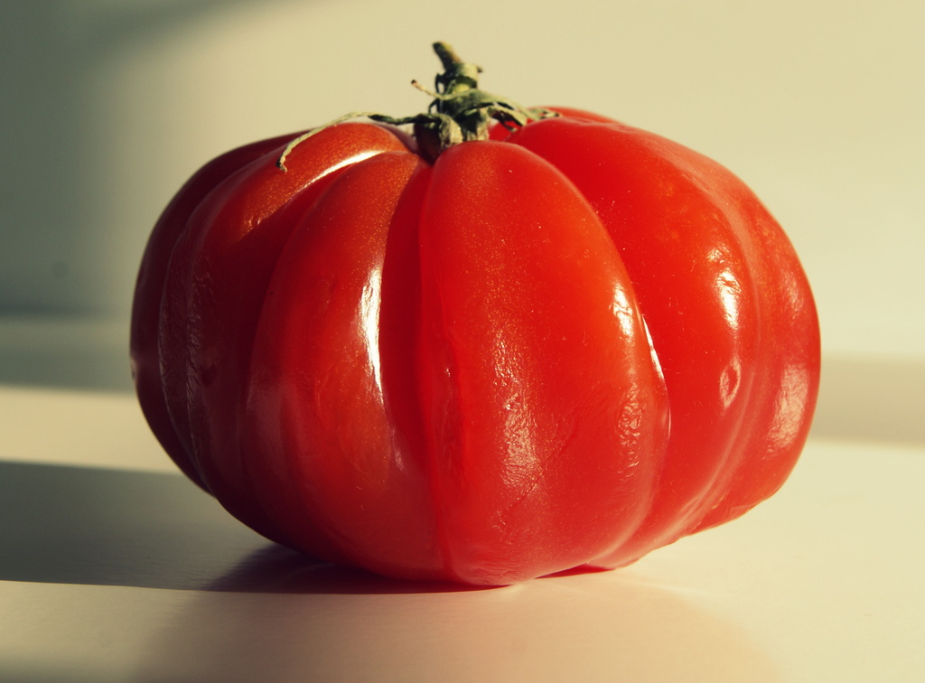 Coeur de Leon Tomato Nom Nom 9.4.14 by filsie65
