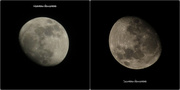 11th Apr 2014 - The Moon- up or down!