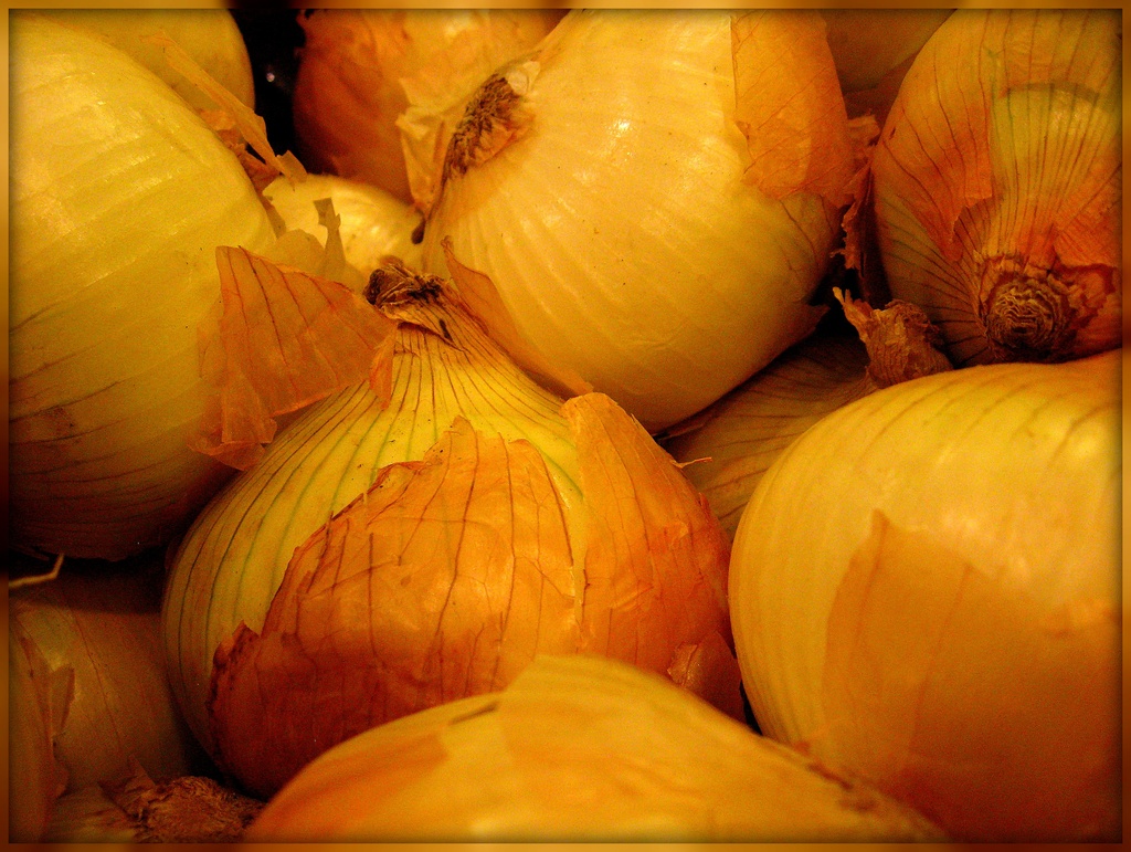 Onions by olivetreeann