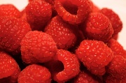 21st Sep 2010 - Raspberries